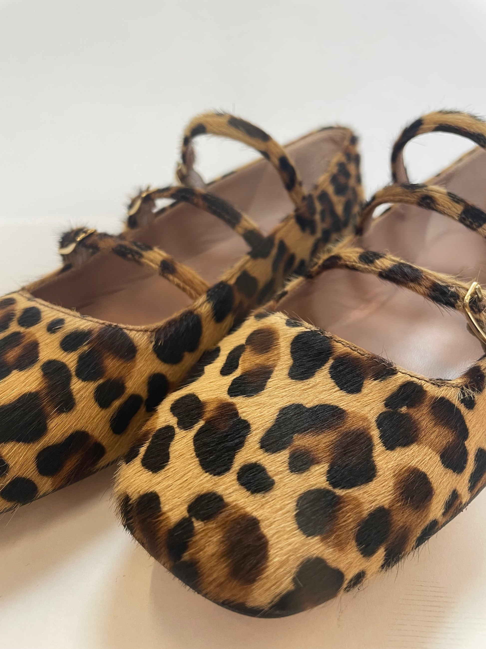 Ballerine Cheville Maculate